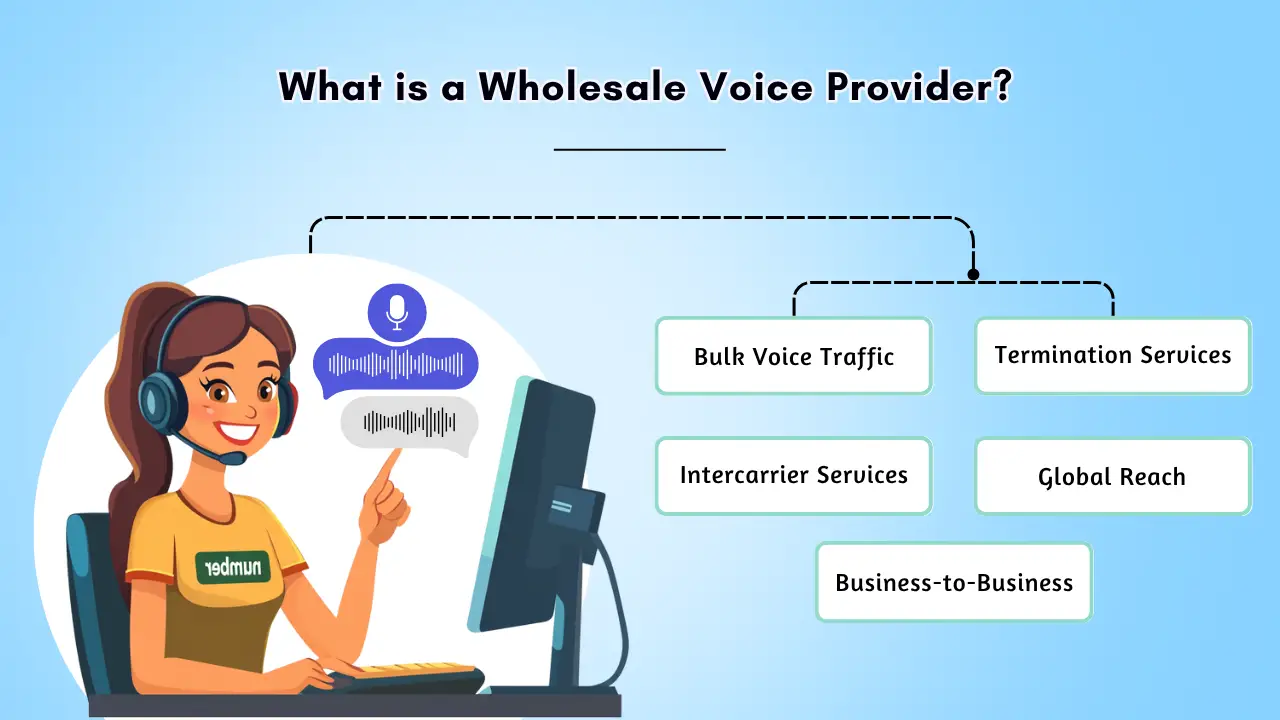 What is a Wholesale Voice Provider — B2B Bulk Voice Capacity